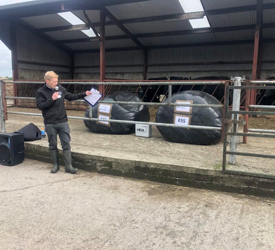 Beef Focus: Managing rising costs on Fermanagh beef farm
