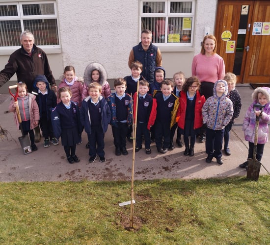 More than 1,000 trees planted at Monaghan primary schools