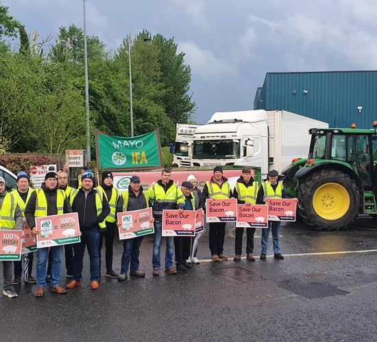 IFA pig protests: One of 4 processors agree to seek price rise so far