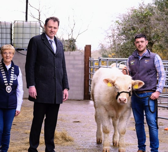 Minister announces €250,000 for beef breeding heifer class at agri-shows