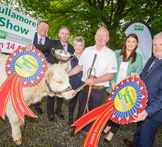 Tullamore Show records profit of €115,000 in 2022