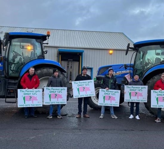 Pig protests: Further IFA action today at 4 processing sites