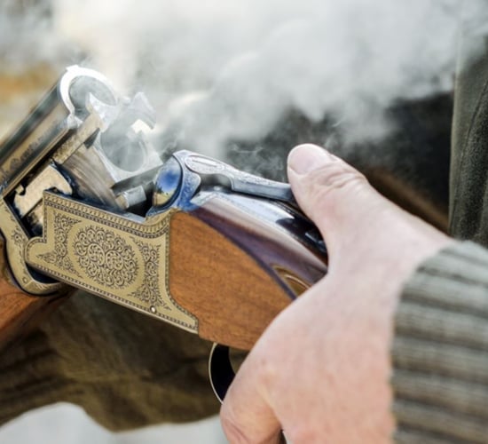 Minister to engage with stakeholders on firearm licence reform