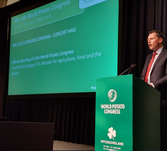 McConalogue highlights scope to expand Ireland’s seed potato sector
