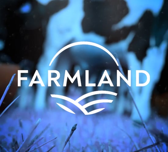 Farmland: Tillage sector challenges and harvest 2022