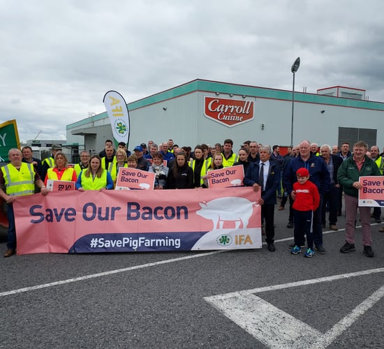 IFA to engage with more processors in bid to boost pig price