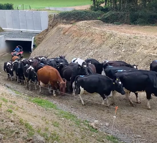 Infrastructure Focus: Opening up safe and easy access to 170ac with an underpass in Co. Cork