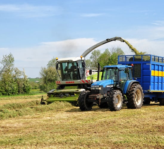 15% of farms need to make up fodder deficit - survey