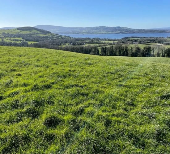 Dairy farmer claims 167ac Tipperary holding at auction