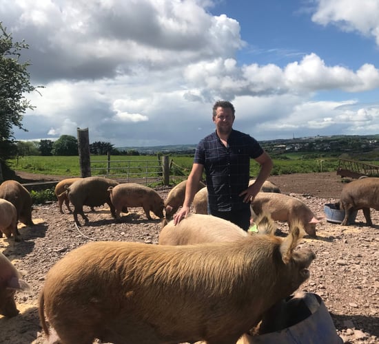 Dairy throwback: Cork dairy farmer diversifies with free-range pigs
