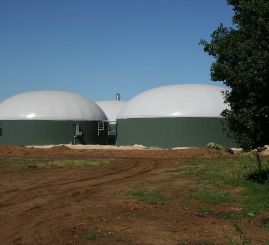 Climate Action Plan 'lacks recognition' for bioenergy