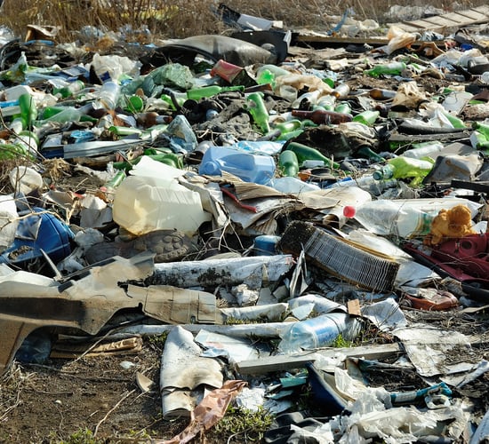 MEPs vote to prevent toxic chemicals from entering the food chain