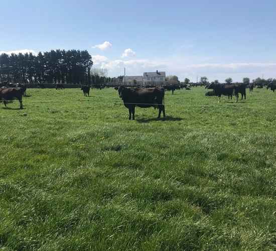 Measures to improve your farm's sustainability