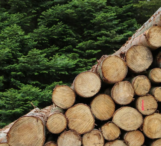 The benefits of wood fuels highlighted in new video