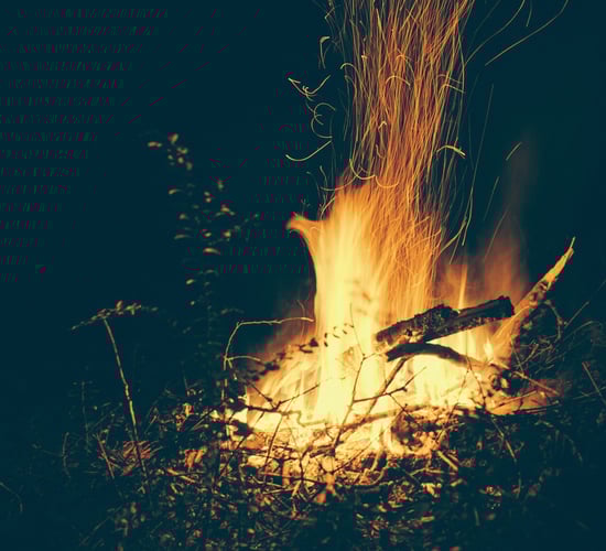Minister of State rules out further exemption on burning green waste
