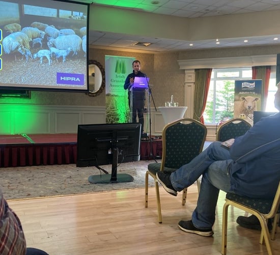 Ewes and mastitis - do plastic slats or straw matter?