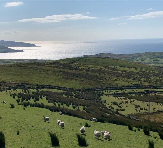 Rural singletons sought for new TV show