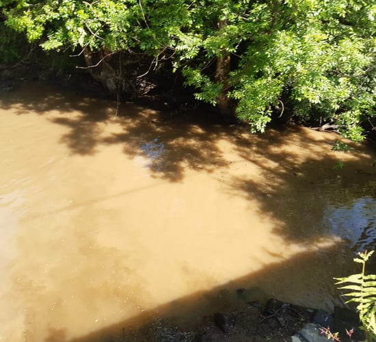 IFI: Warning issued as landowner fined for disturbance of river habitat