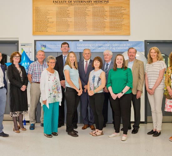 UCD vet school celebrates two decades at Belfield campus