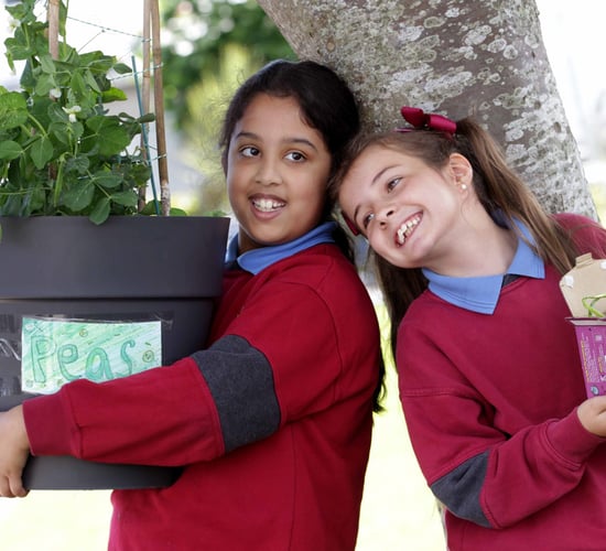 Students win €1,000 garden revamp in Big Grow competition