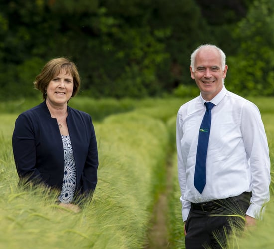 Funded pathway to agri-analytics career at DkIT