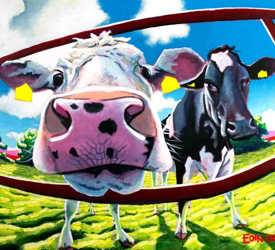How some nosy cows became an artist's 'business card'