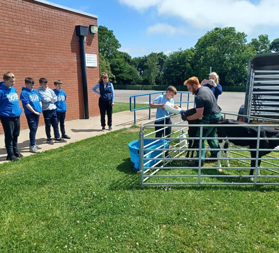 'Farmer Time' in schools to teach children about Irish food production