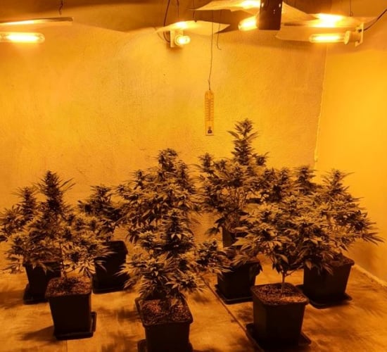 Man arrested and €150k of cannabis seized in rural Galway village