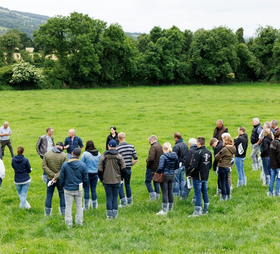 Germinal Ireland: German dairy farmers seek grass advice on Irish farm