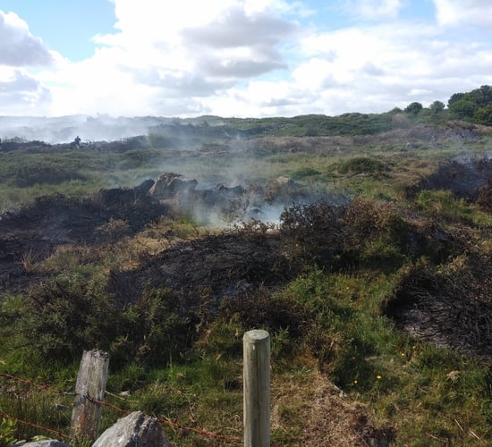 Galway man fined and banned from driving after illegal burning