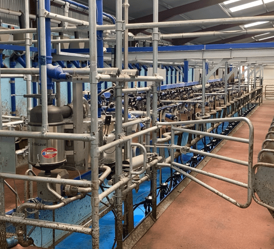 Buildings Focus: Milking 215 cows in a new 24-unit parlour in Tipperary