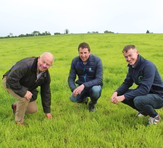 Managing grass growth has been very challenging