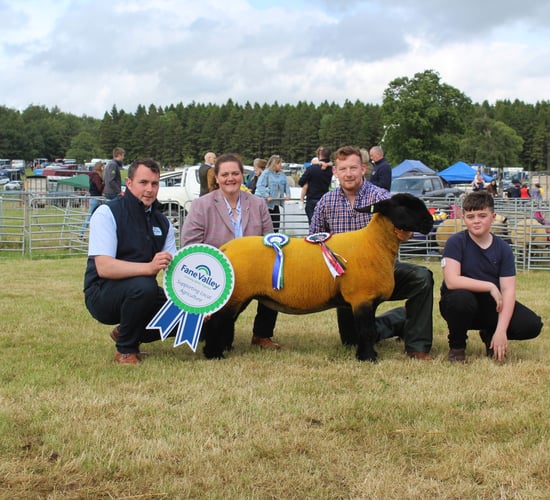 Suffolk shearling ewe makes its mark at Armagh Show