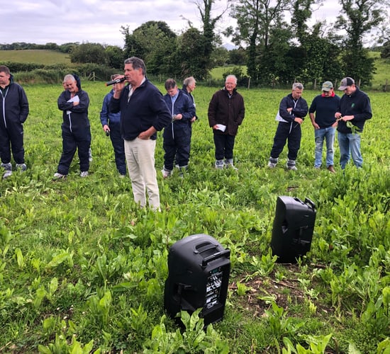Beef Focus: 'Growing multi-species swards requires a total mindset change'