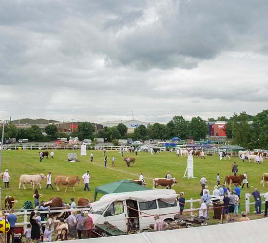 Omagh Show set for return in July after Covid-19 pandemic