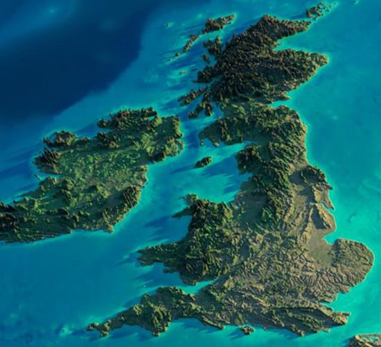 IBLA calls for imports to cease following suspected UK foot and mouth case