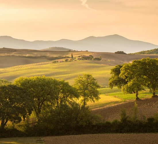 €162m in Italian aid for agriculture approved by EU