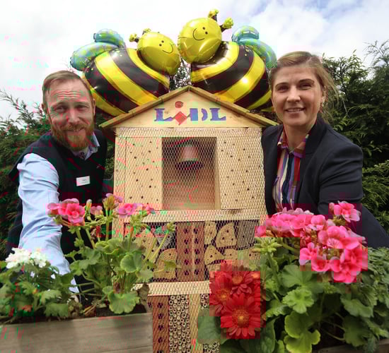 Lidl installs five new pollinator gardens at NI stores