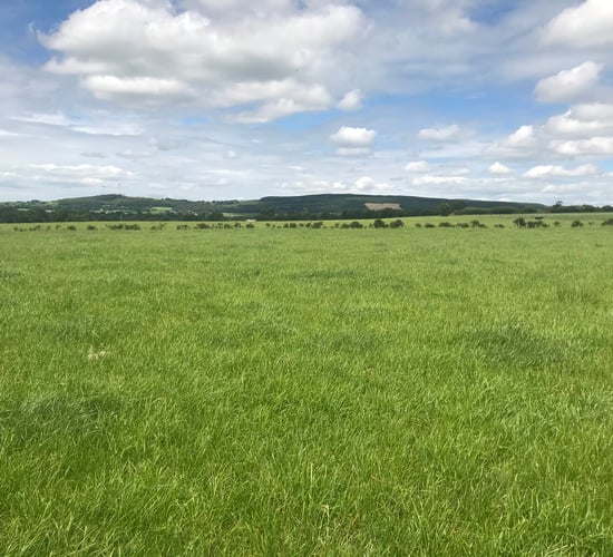 DAFM: 460 ACRES farmers still waiting on their final payments for 2023