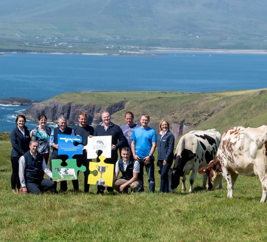 Entries sought for Kerry Holstein Friesian Breeders' herds competition