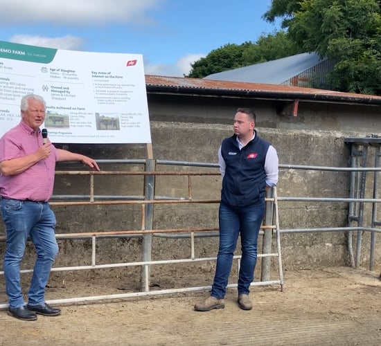 Bandon dairy and beef farmer hosts ABP 'genetics-focused' farm walk