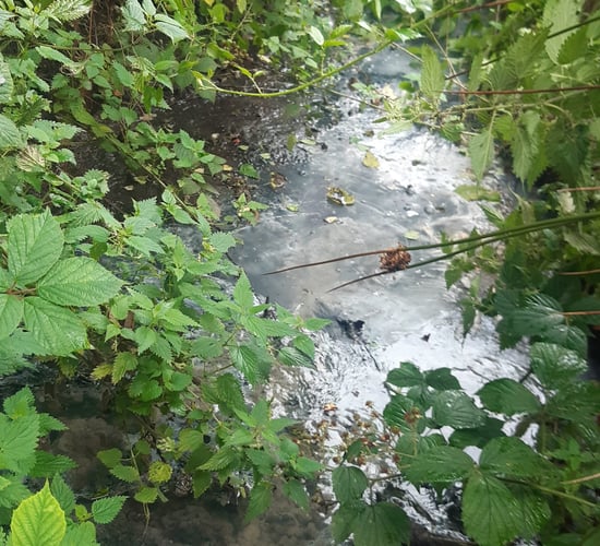 'Pit not fit for purpose': Farmer fined for polluting river with silage effluent