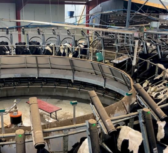 44-bail GEA rotary parlour in action in Co. Cork