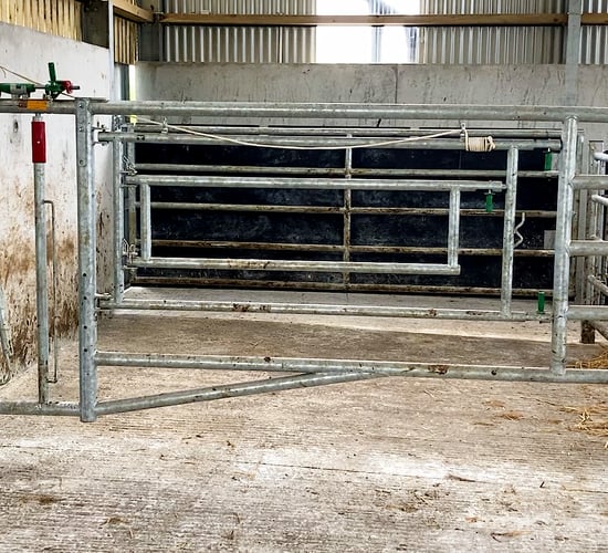 Getting calving and calf rearing facilities ready for autumn calving