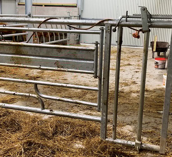 Avoid horror stories and invest in safety at calving