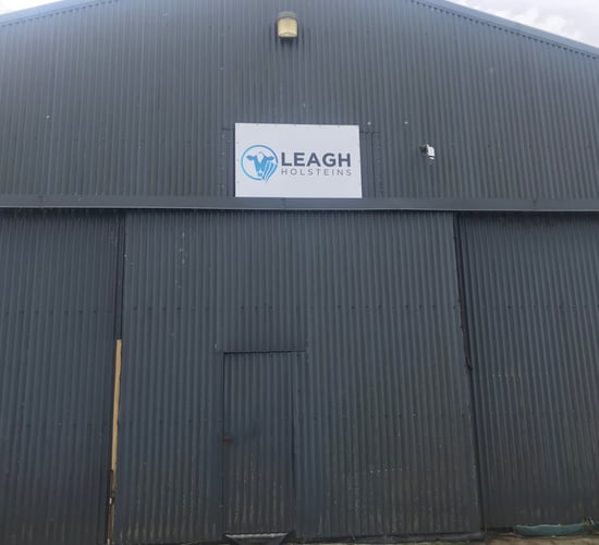 Dairy throwback: A passion for pedigree breeding at Leagh Holstein