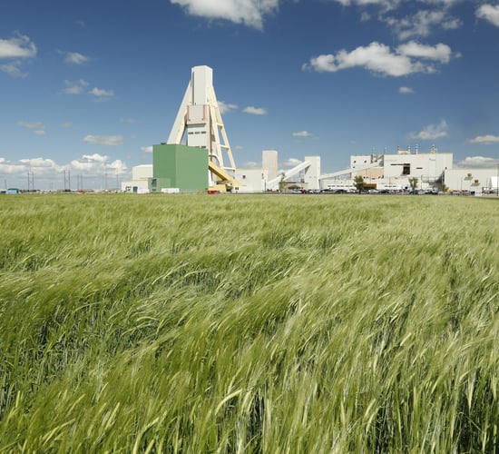 Global fertiliser company to ramp up potash production