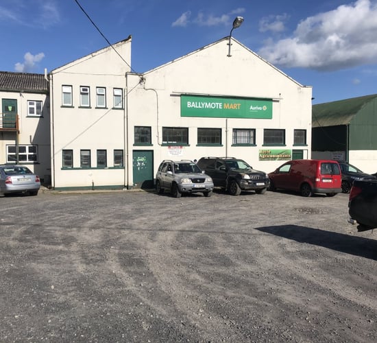 Pre-Christmas boost for sheep trade at Ballymote Mart