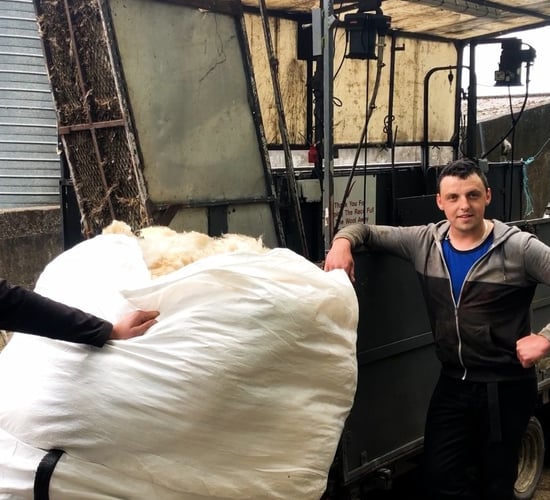 Video: 2022 sheep shearing gets underway in Co. Cavan