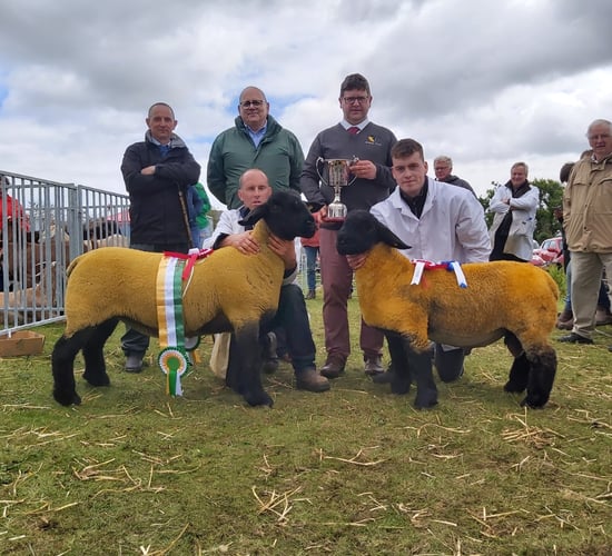 'Suffolk delight' at seeing large entry of enthusiastic young breeders
